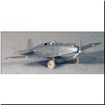 No.721 Curtis P-40 (photo by Lloyd Ralston Gallery Auctions)
